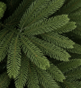 sapin_artificiel_close_1.png